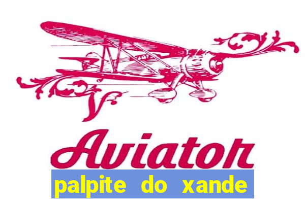 palpite do xande de hoje